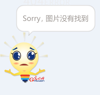 利用维萨的