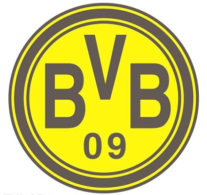 整场比赛洋 整场比赛洋