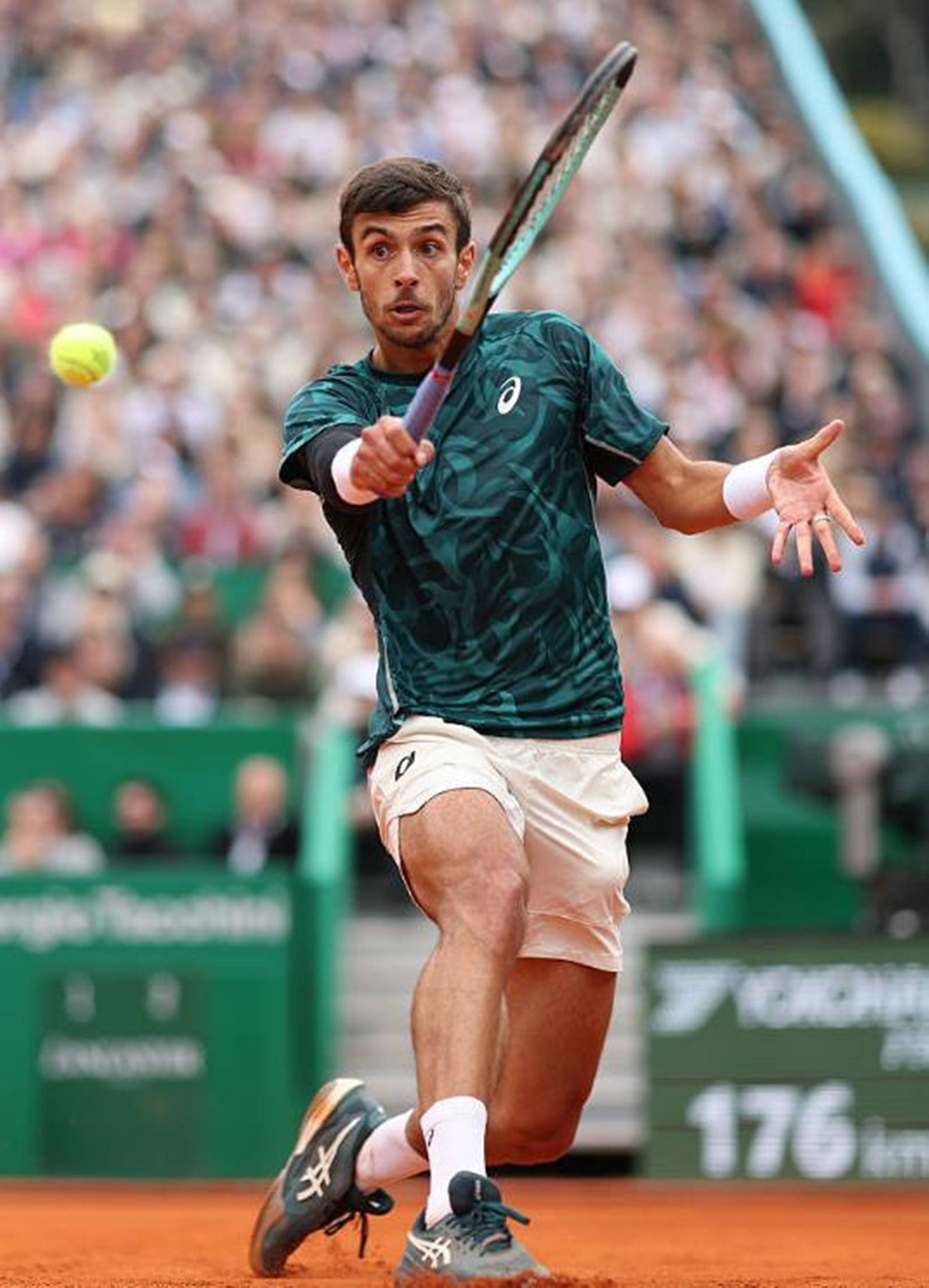 欺凌行为进 欺凌行为进